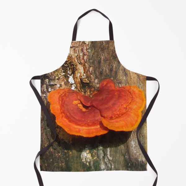 Item preview, Beautiful Tree Fungus designed and sold by heatherfriedman.