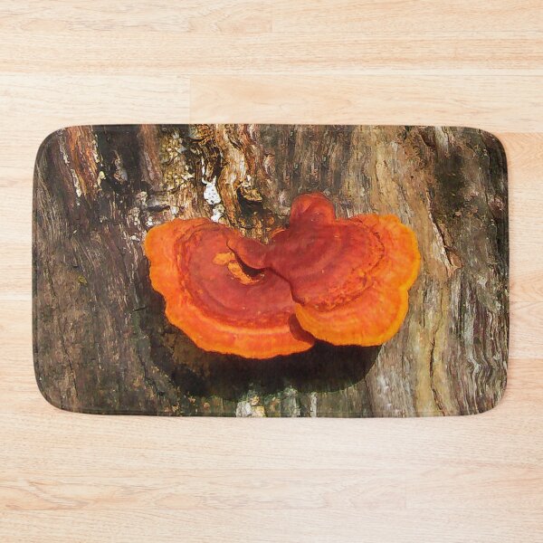 Item preview, Beautiful Tree Fungus designed and sold by heatherfriedman.