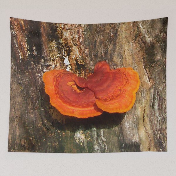 Item preview, Beautiful Tree Fungus designed and sold by heatherfriedman.