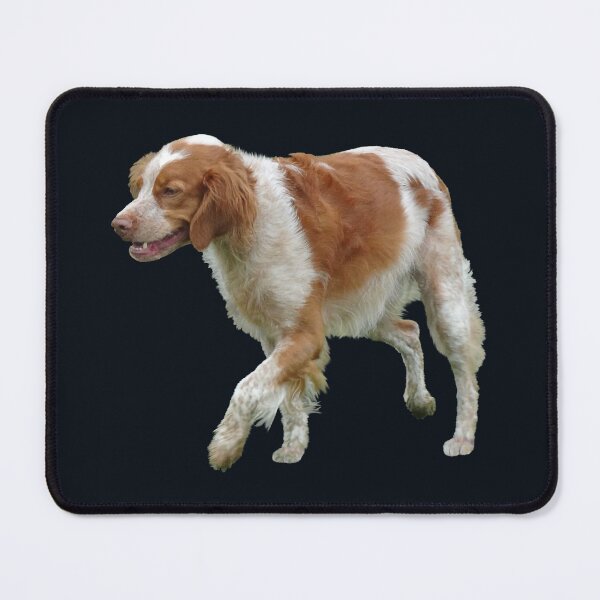 Item preview, Brittany Spaniel designed and sold by Susan Savad.