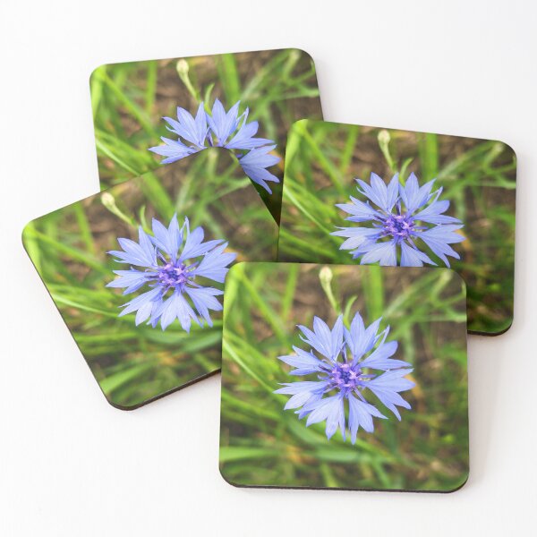 Item preview, Cornflower Photo designed and sold by Sky-99.
