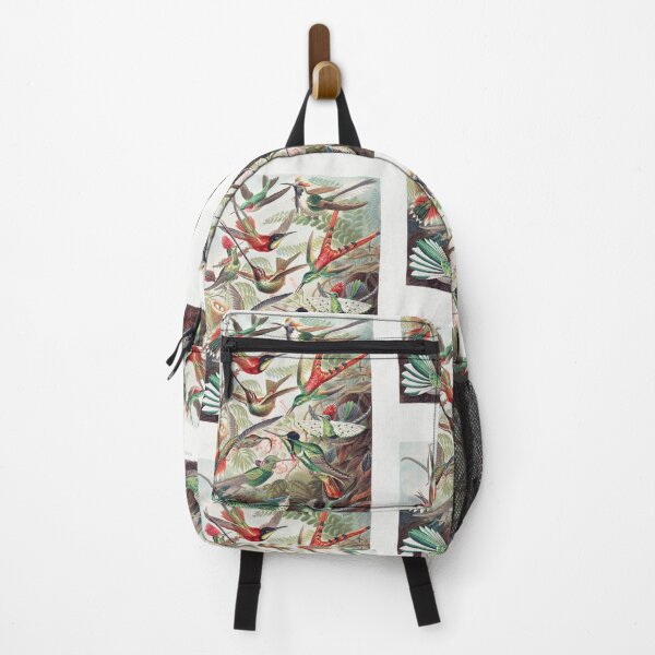 Item preview, Hummingbird Scientific Illustration designed and sold by Aesthetic Archive.