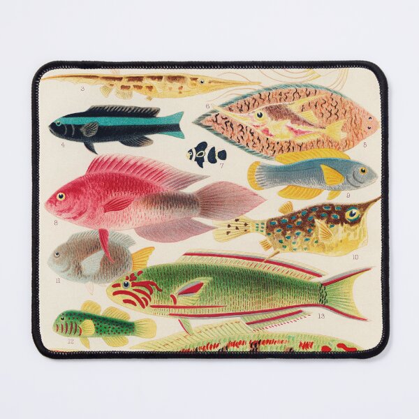 Item preview, Great Barrier Reef Fish Scientific Illustration designed and sold by Aesthetic Archive.