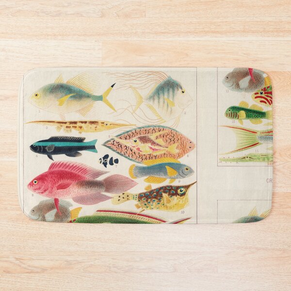 Item preview, Great Barrier Reef Fish Scientific Illustration designed and sold by Aesthetic Archive.