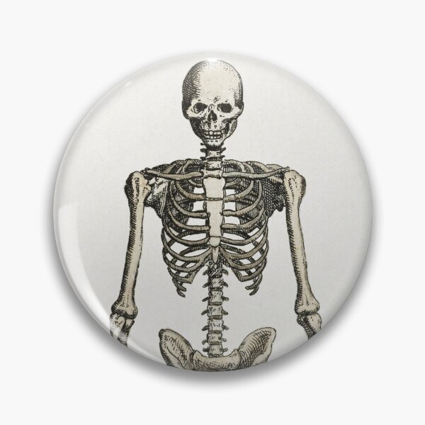 Item preview, Vintage Human Skeleton Standing designed and sold by Aesthetic Archive.
