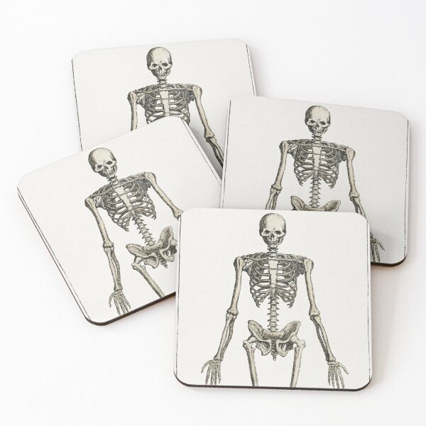 Item preview, Vintage Human Skeleton Standing designed and sold by Aesthetic Archive.