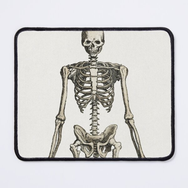 Item preview, Vintage Human Skeleton Standing designed and sold by Aesthetic Archive.