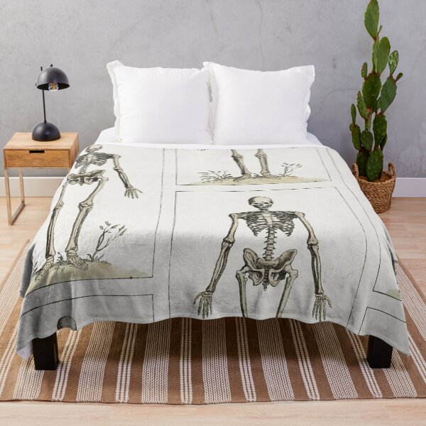 Item preview, Vintage Human Skeleton Standing designed and sold by Aesthetic Archive.