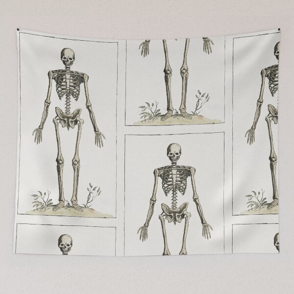 Item preview, Vintage Human Skeleton Standing designed and sold by Aesthetic Archive.