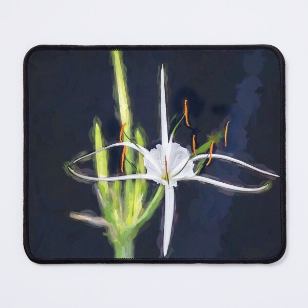 Item preview, White Spider Lily, X106 designed and sold by RichFrancoCars.