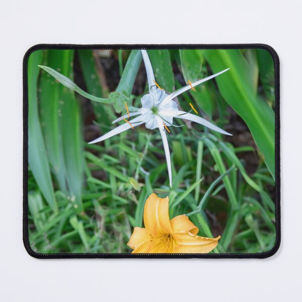 Item preview, White Spider Lily and Daylily X107 designed and sold by RichFrancoCars.