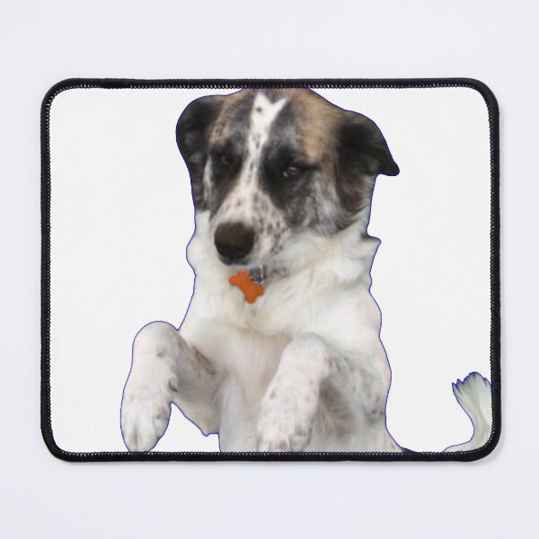 Item preview, Erik the Red: begging dog. designed and sold by Ferndragons.
