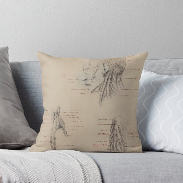 Item preview, Anatomy Study designed and sold by AlonzoFineArt.