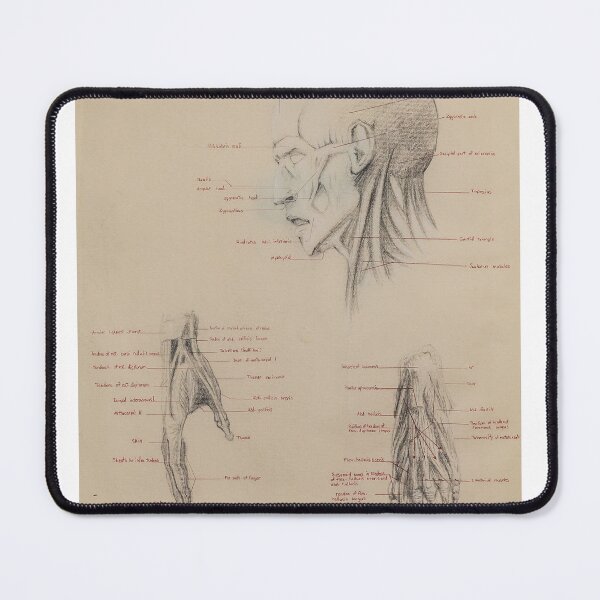 Item preview, Anatomy Study designed and sold by AlonzoFineArt.