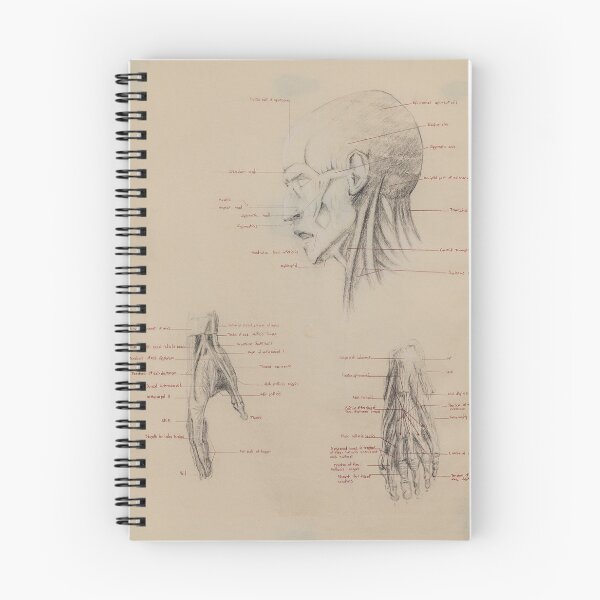 Item preview, Anatomy Study designed and sold by AlonzoFineArt.