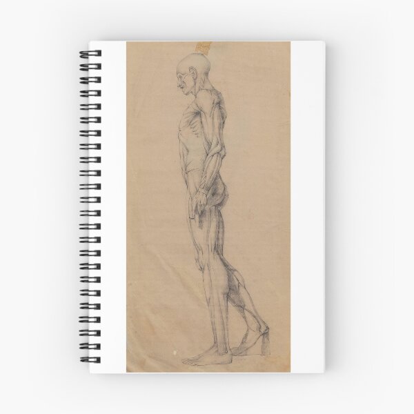 Item preview, Muscle Study  designed and sold by AlonzoFineArt.