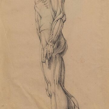 Artwork thumbnail, Muscle Study by AlonzoFineArt