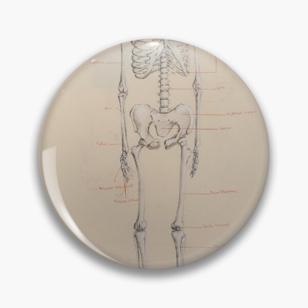 Item preview, Skeleton Study designed and sold by AlonzoFineArt.