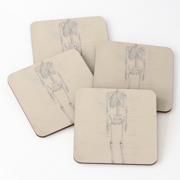 Item preview, Skeleton Study designed and sold by AlonzoFineArt.
