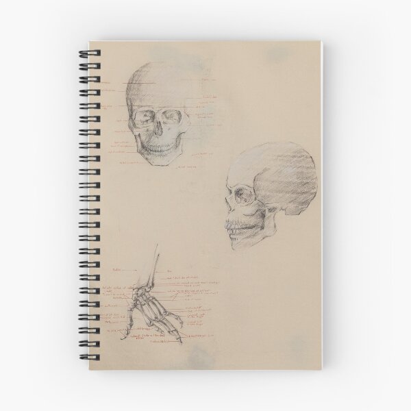Item preview, Skull Study designed and sold by AlonzoFineArt.