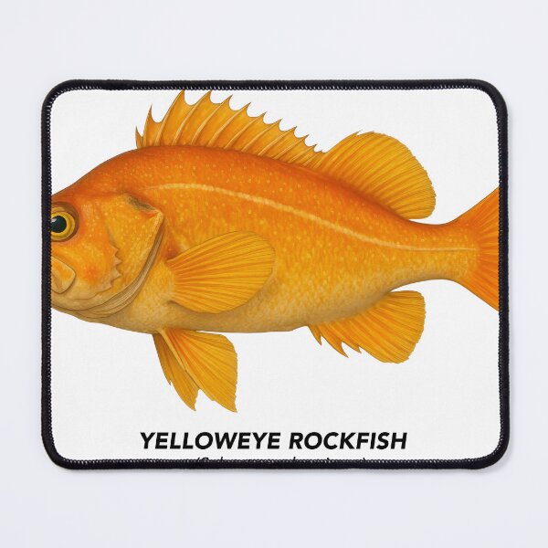 Item preview, Yelloweye Rockfish – Marine Animals of California designed and sold by CaliforniaVibe.