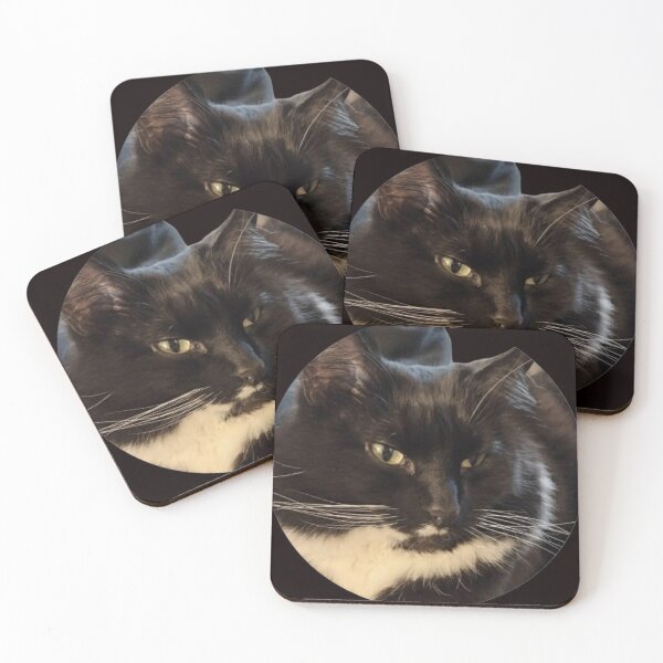 Item preview, My brother's cat designed and sold by JEC Productions.