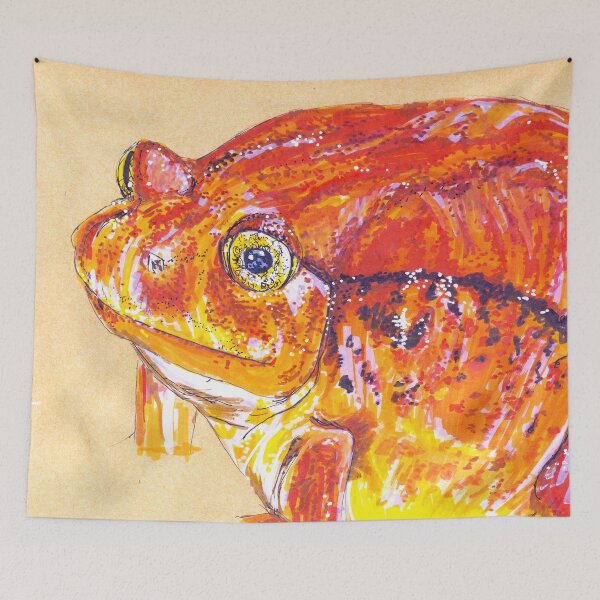 Item preview, Realistic Drawing of Madagascar Tomato Frog—Dyscophus antongilii designed and sold by Sheila Singhal.