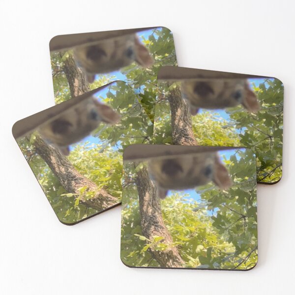 Item preview, Are there more walnuts? designed and sold by WhispFeathers.