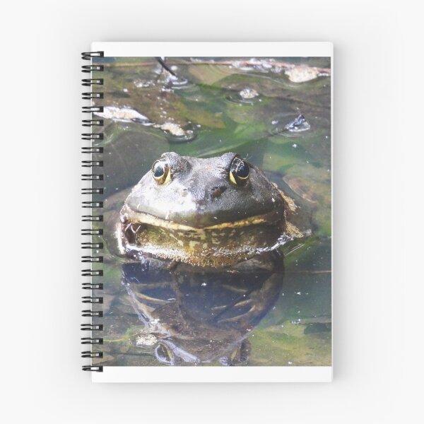 Item preview, American Bullfrog designed and sold by WonderingNature.