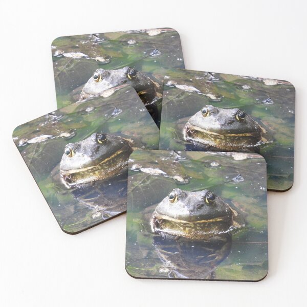 Item preview, American Bullfrog designed and sold by WonderingNature.