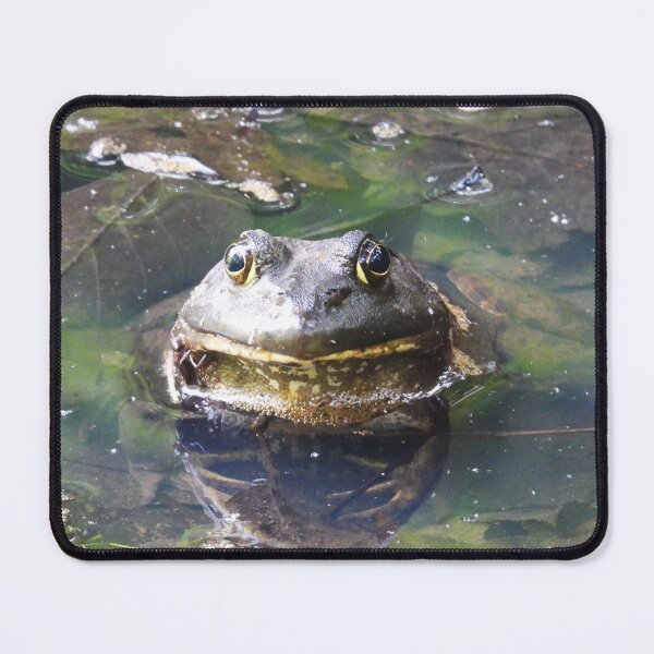 Item preview, American Bullfrog designed and sold by WonderingNature.