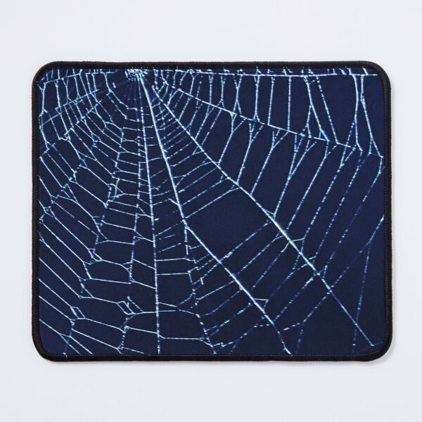 Item preview, Spiderweb designed and sold by Songbird Designs.