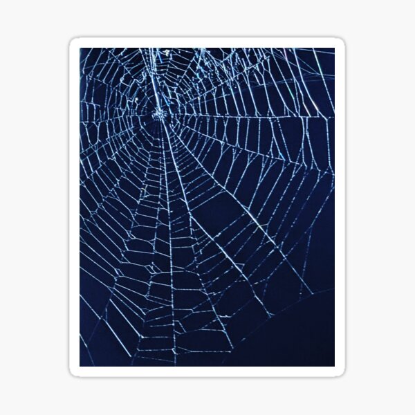Item preview, Spiderweb designed and sold by Songbird Designs.