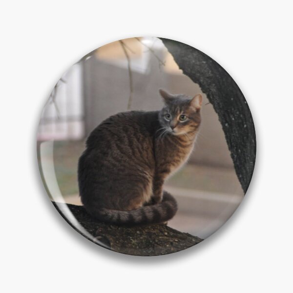 Item preview, Cat in the Tree designed and sold by Songbird Designs.