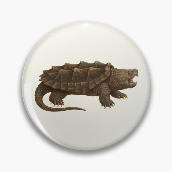 Item preview, Alligator Snapping Turtle US Animal Illustration Style Artwork designed and sold by kakarikihill.