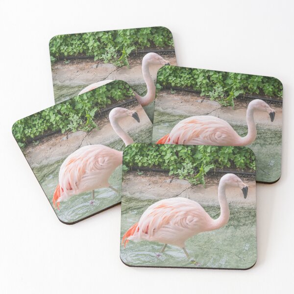 Item preview, Pink Flamingo at Como Park Zoo and Conservatory designed and sold by LINDA MCKUSICK.
