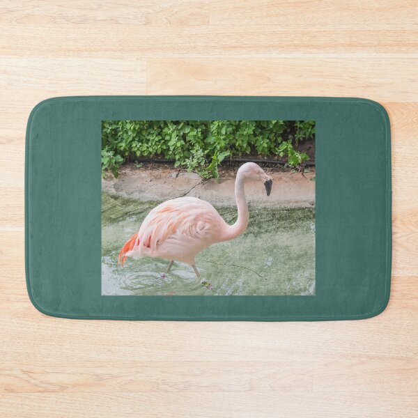 Item preview, Pink Flamingo at Como Park Zoo and Conservatory designed and sold by LINDA MCKUSICK.
