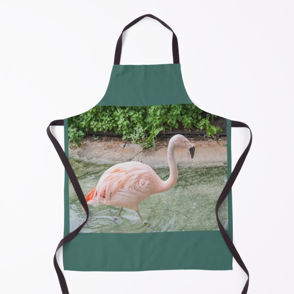Item preview, Pink Flamingo at Como Park Zoo and Conservatory designed and sold by LINDA MCKUSICK.