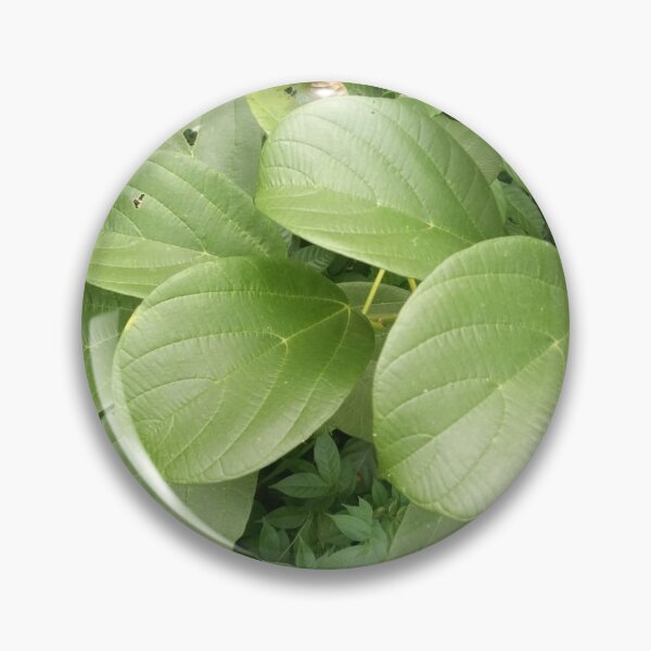 Item preview, Tropical Leaves in Botanical Pattern designed and sold by zoeval.