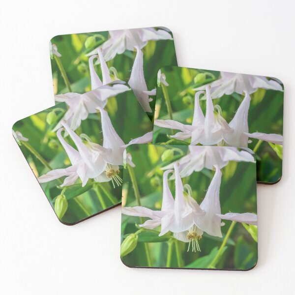 Item preview, Pretty, Light Pink Columbine, Aquilegia designed and sold by LINDA MCKUSICK.