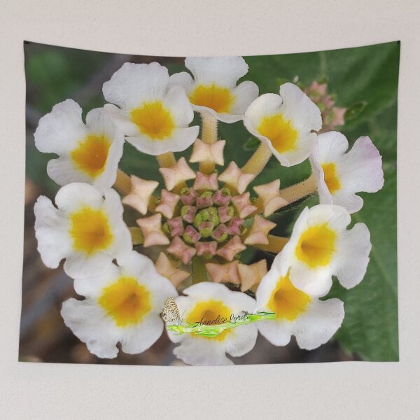 Item preview, A Gift 4 U  RZ 5/19 designed and sold by Unlimited Imagination .