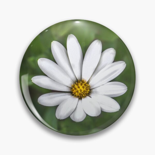 Artikelvorschau, Daisy Delight entworfen und verkauft von heatherfriedman.