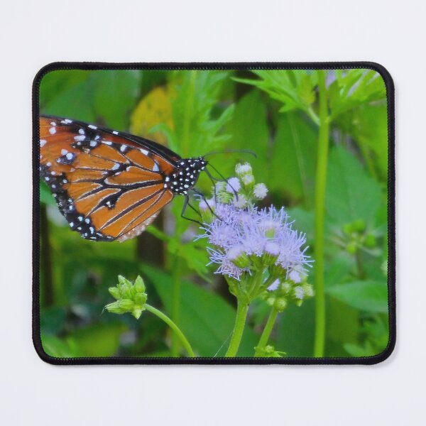 Item preview, Fluttering Beauty designed and sold by Songbird Designs.