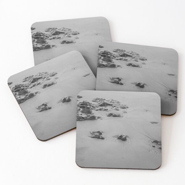 Item preview, black and white photograph of corals on a beach sand designed and sold by felipequeiroz.