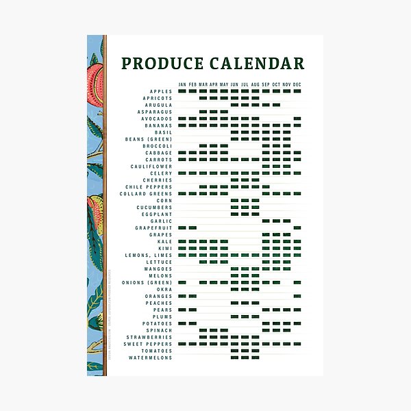 Item preview, Seasonal Produce Calendar: Fruits and Vegetables designed and sold by Angie Cibis Graphic Design.