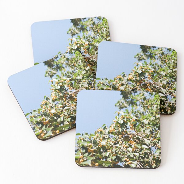 Item preview, botanical print designed and sold by Zoe Ellen.