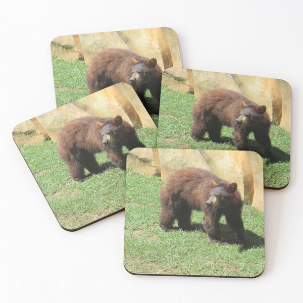Item preview, Bear in grass designed and sold by whimsyqueer.