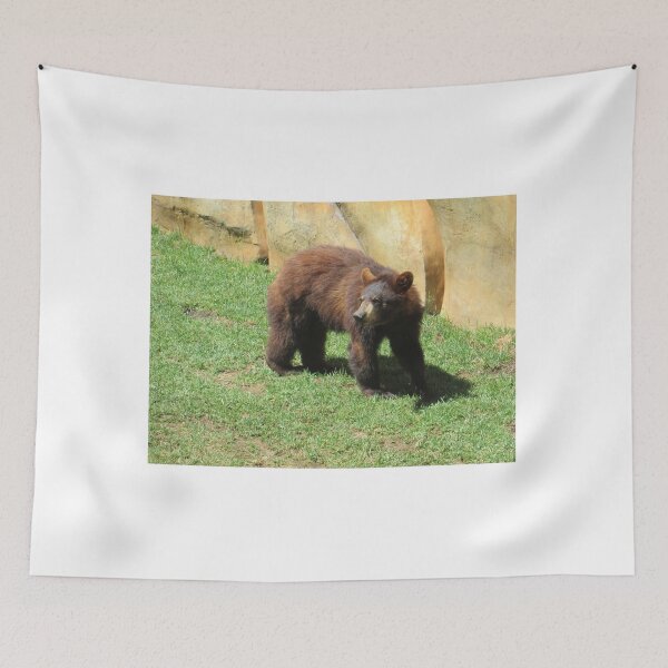 Item preview, Bear in grass designed and sold by whimsyqueer.