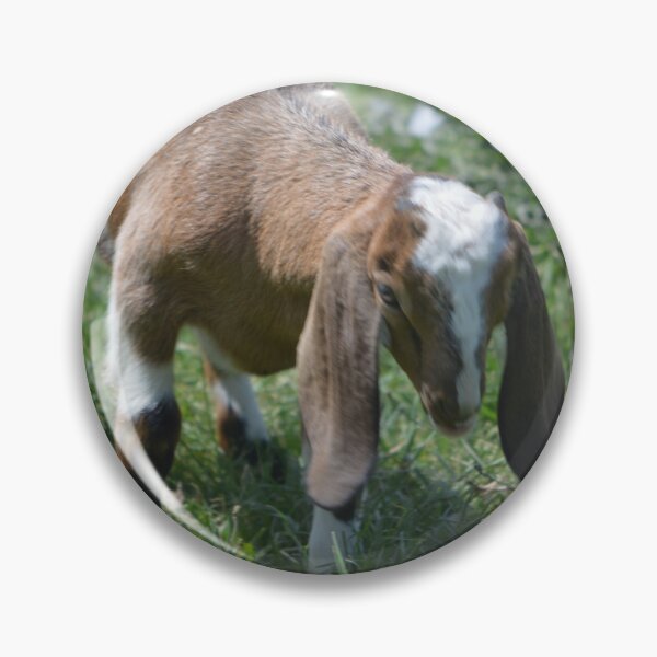 Item preview, Nubian Goat   Goliath  designed and sold by RobynPeters1836.