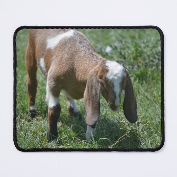 Item preview, Nubian Goat Goliath designed and sold by RobynPeters1836.